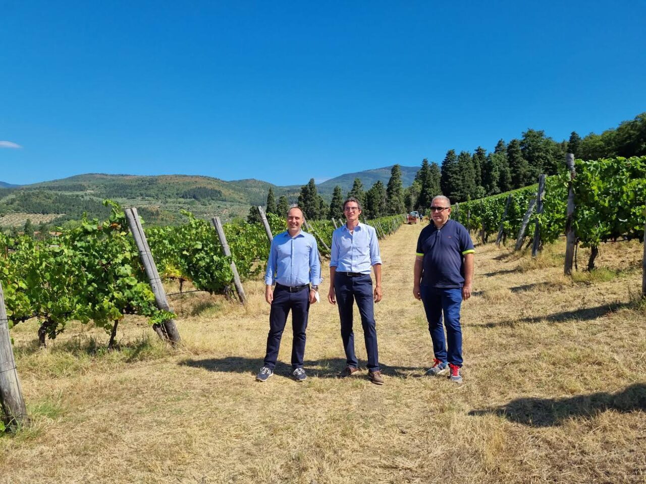 Marchesi Pancrazi, la vendemmia di Pinot Nero è 4.0. Quantità inferiore ma di grande qualità