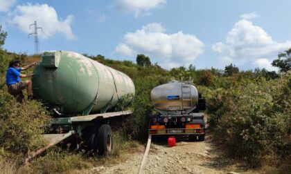 Ottomila litri per gli animali della Calvana portati in località Lavacchio