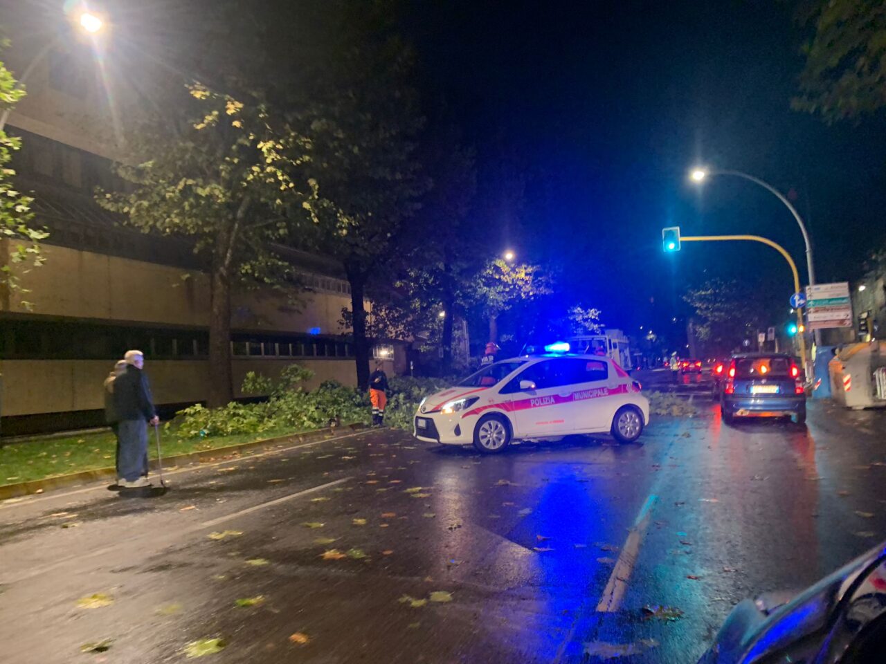 Maltempo, alberi caduti per le forti raffiche: viali chiusi a Firenze