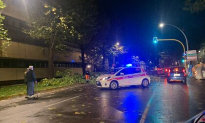 Maltempo, alberi caduti per le forti raffiche: viali chiusi a Firenze