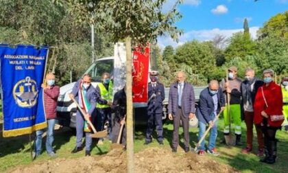 Il Comune di Montemurlo pianta un albero in ricordo di tutte le vittime sul lavoro con un pensiero particolare a Luana, Sabri e Giuseppe