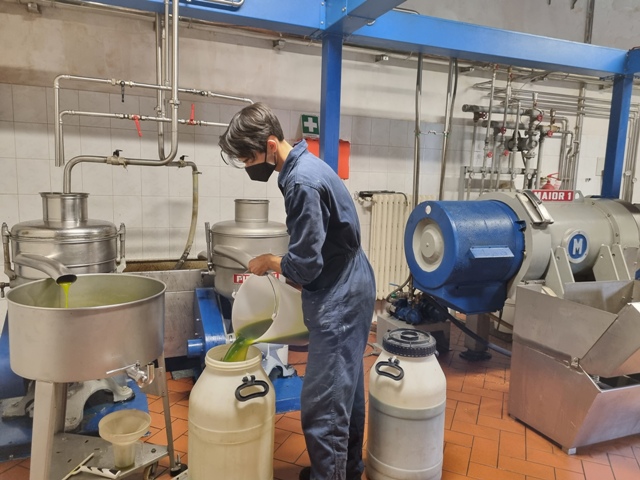 Olio, annata nera. La produzione registra un meno 60%