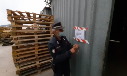 Gestione illecita di rifiuti a Campi Bisenzio: denunciata ditta che recuperava pancali in legno e li commercializzava