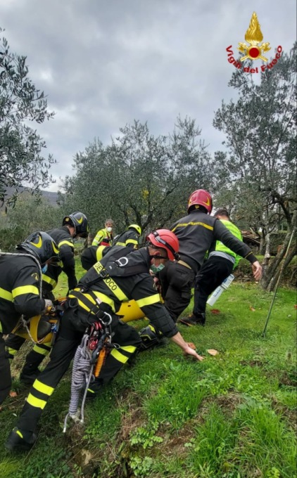 Malore mentre raccoglie le olive a Cantagallo: purtroppo l’uomo è morto