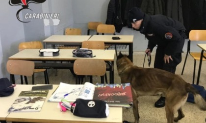 Carabinieri di Prato, servizi antidroga dell'Arma agli istituti scolastici Buzzi e Cicognini-Rodari