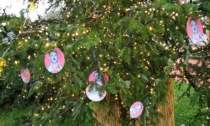 Palline di Natale con effigi naziste sull’albero del Comune