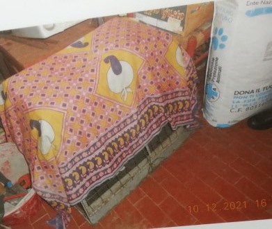 Cane tenuto in gabbia in un minuscolo box: pessime condizioni tra acqua putrida e luogo fatiscente