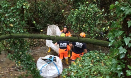 Discarica abusiva scoperta a Bacchereto