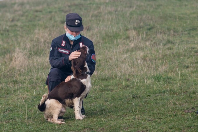 Signa: compra un cane che poi scopre essere stato portato illegalmente in Italia