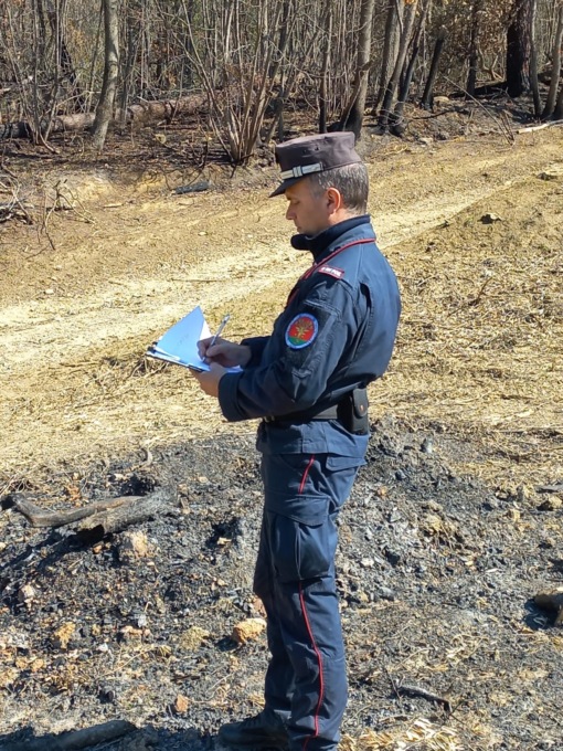 Scandicci: operaio agricolo responsabile di un incendio, denunciato