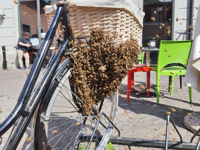 Natura urbana: dal 20 a 22 maggio a Lastra a Signa tre giorni per valorizzare la biodiversità