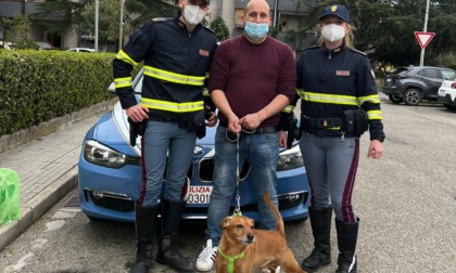Scappa da casa e finisce sulla FiPiLi: il meticcio “Rocco” salvato dalla Polizia