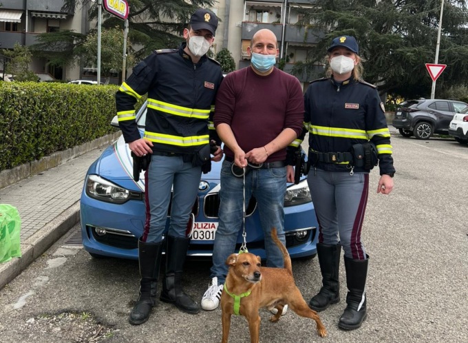 Scappa da casa e finisce sulla FiPiLi: il meticcio “Rocco” salvato dalla Polizia