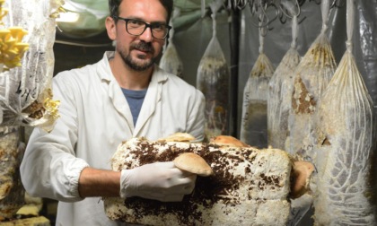 Innovazione, l'azienda agricola di Scandicci che fa nascere l'insalata da fondi di caffè