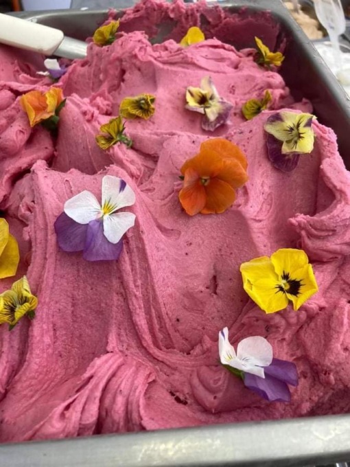 Festa dei fiori, un gelato con petali di rosa da “Il Fantino”