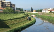 Taglio dell'erba sull'argine del Bisenzio