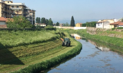 Taglio dell'erba sull'argine del Bisenzio