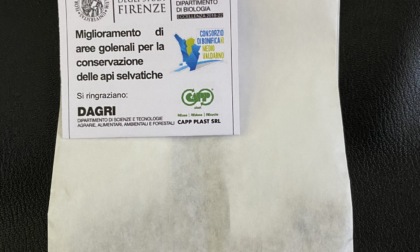 Capp Plast insieme a Università per sostenere le api