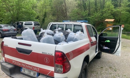 Immissione fauna ittica da parte della Polizia Provinciale