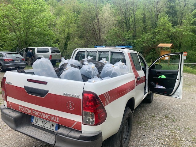 Immissione fauna ittica da parte della Polizia Provinciale