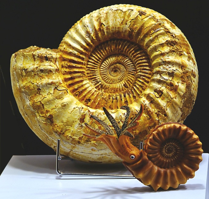 Amico Museo, domenica laboratorio al Museo di Scienze Planetarie
