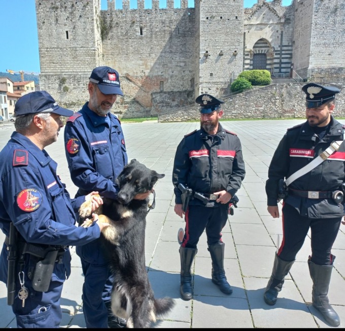 Aveva 170 grammi di droga: preso grazie alla nuova unità cinofila della Polizia Municipale