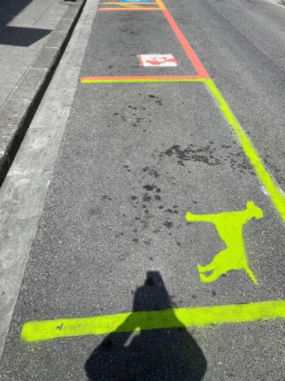 A Poggio spunta il parcheggio verde per i cani