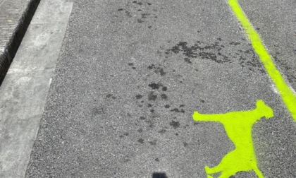 A Poggio spunta il parcheggio verde per i cani