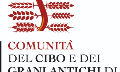 Nasce la Comunità del cibo e della biodiversità dei grani antichi di Montespertoli e delle colline del Chianti