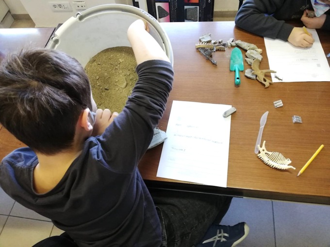 Alla ricerca di fossili al Museo di Scienze Planetarie