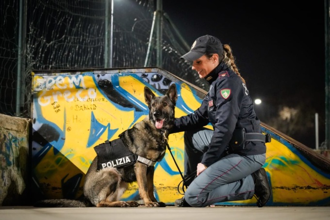 Pastore tedesco scova più di due etti di hashish