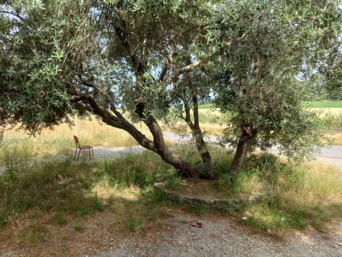 Panchine rimosse in Via S. Martino per Galceti, Ovattoni: “Vanno subito rimesse perché lì è un luogo di aggregazione dei residenti della zona”