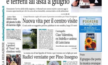 Case all’asta e tante altre notizie su Bisenziosette