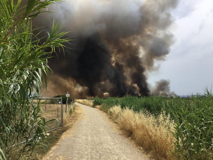 Grosso incendio nel parco della Piana a Sesto