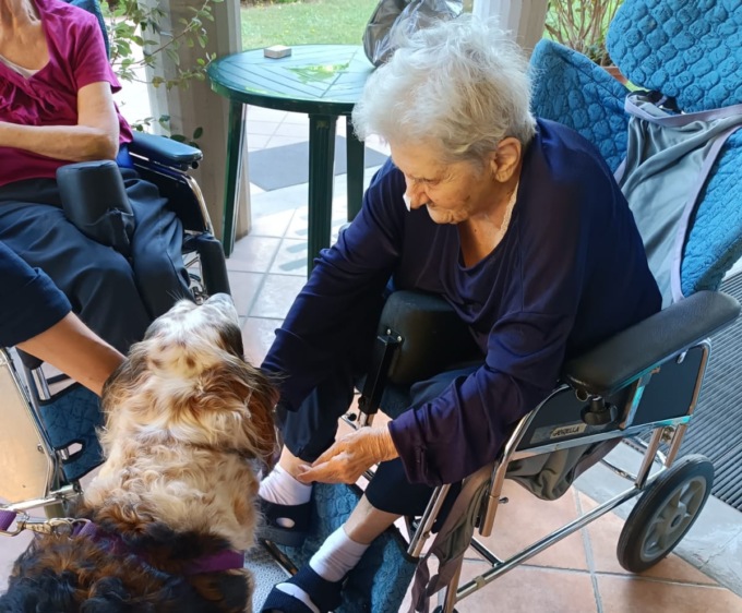 Quando gli animali sono la medicina