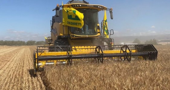 La scarsa produzione di orzo, mette in allarme al Coldiretti