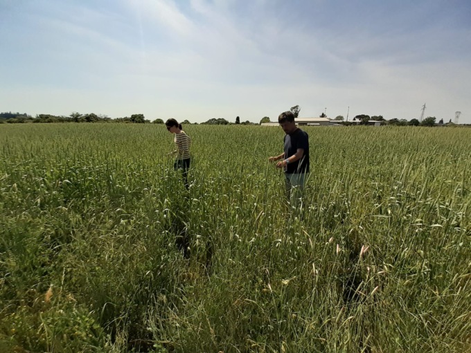 Festa degli Alberi e della Biodiversità