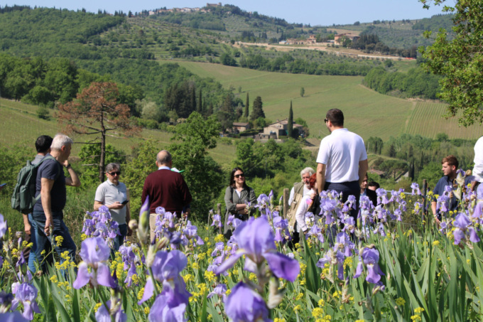 Toscana in fiore è il nuovo fenomeno turistico della regione