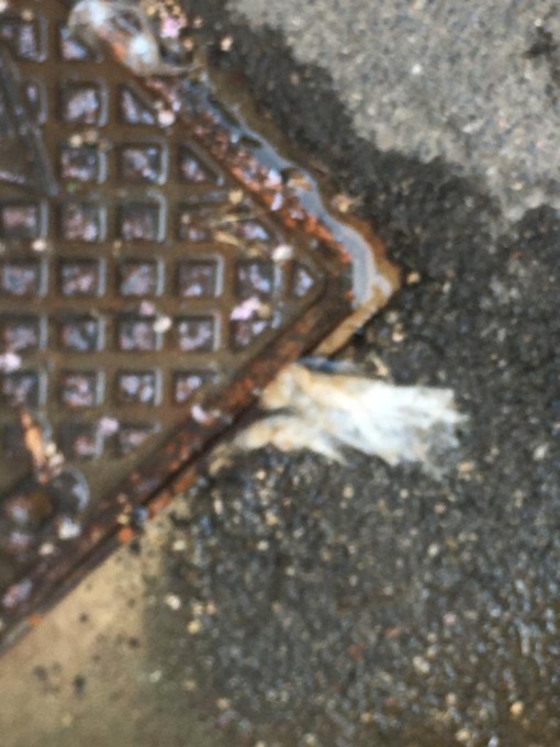 Con la siccità le perdite d’acqua sulle strade fanno ancora più male