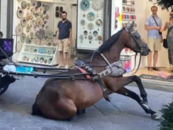 Cavalli: basta allo sfruttamento dopo quello che è successo a Firenze