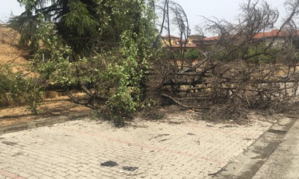 Ondata di maltempo, la situazione a Calenzano: il Parco del Neto sarà chiuso anche domani 