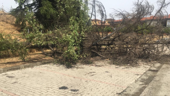 Ondata di maltempo, la situazione a Calenzano: il Parco del Neto sarà chiuso anche domani 