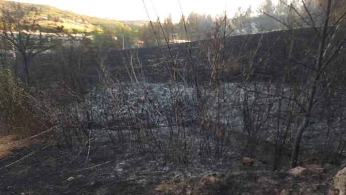 Incendio di Greve: danni per un milione all’azienda Castel Ruggero