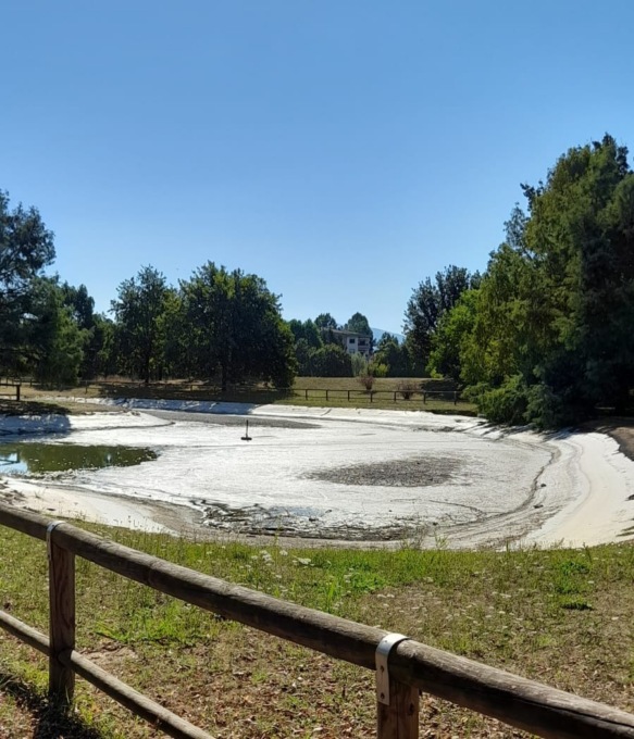Laghetto parco Pertini: concluso lo spostamento delle tartarughe