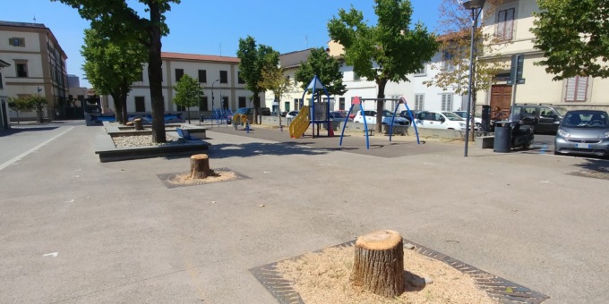 Il Comitato tutela degli alberi: “Verso la desertificazione di piazza IV Novembre”