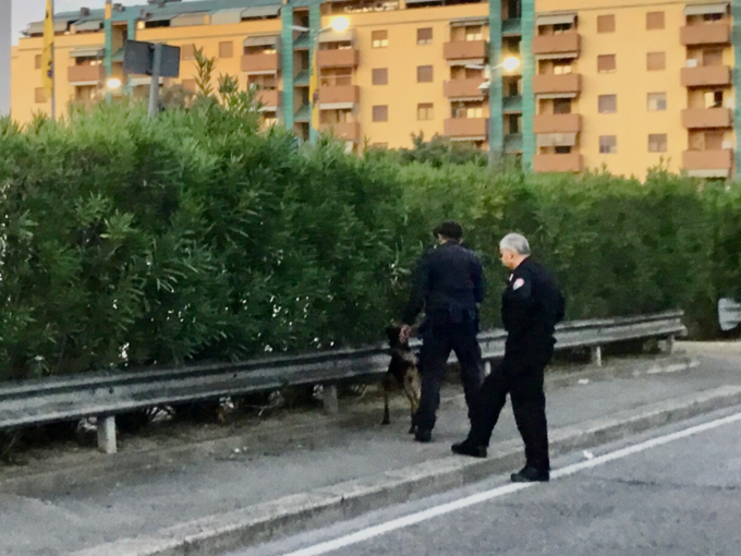 Controllo dei Carabinieri a Campi con i cani antidroga 