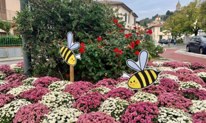 A Calenzano due rotatorie che strizzano l'occhio alla biodiversità