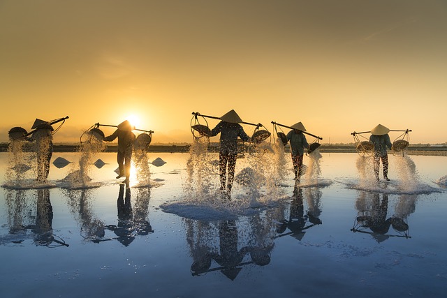 Vietnam da scoprire: consigli pratici per visto e viaggio