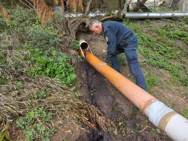 Controlli in un frantoio e scatta la denuncia