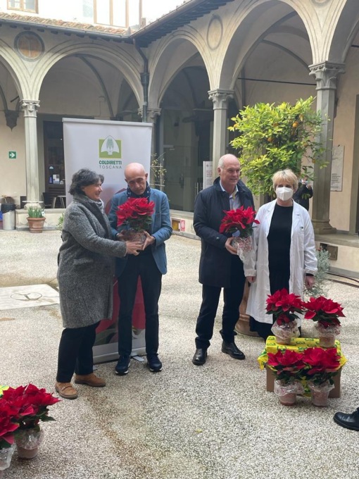 Stelle di Natale, donate all’ospedale di Santa Maria Nuova